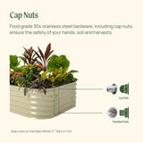 Garden bed with plants and cap nuts highlighted, emphasizing safety and quality.