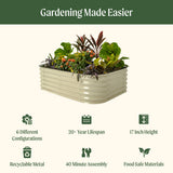 Raised garden bed with plants and features listed on a white background