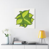 Philodendron Brasil Canvas Print – Botanical Wall Art