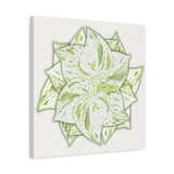 Snow Queen Pothos Canvas Print – Botanical Wall Art