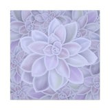 Graptopetalum Murasaki Succulent Pattern Canvas Print – Botanical Wall Art