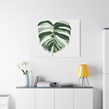 Melting Monstera Albo Canvas Print – Botanical Wall Art