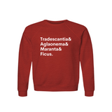 Tradescantia, Aglaonema, Maranta & Ficus Plant Lover Sweatshirt – Organic Cotton Raglan