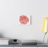Graptosedum California Sunset Succulent Canvas Print – Botanical Wall Art