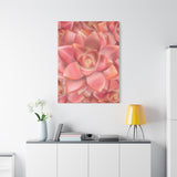 Graptosedum California Sunset Succulent Pattern Canvas Print – Botanical Wall Art