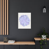 Graptopetalum Murasaki Succulent Canvas Print – Botanical Wall Art
