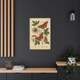 Passionflower with Gulf Fritillary, Vintage-style Botanical Illustration on Canvas