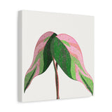 Pink Princess Philodendron Canvas Print – Botanical Wall Art
