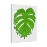 Melting Monstera Canvas Print – Botanical Wall Art