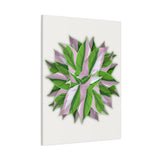 Syngonium Tricolor Pattern Canvas Print – Botanical Wall Art