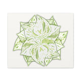 Snow Queen Pothos Canvas Print – Botanical Wall Art