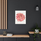 Graptosedum California Sunset Succulent Canvas Print – Botanical Wall Art
