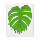 Melting Monstera Canvas Print – Botanical Wall Art