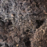 Memes VermiFusion Blend Worm Bedding