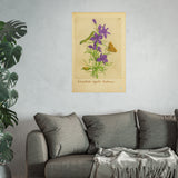 Royal Larkspur with Moth and Caterpillar, Consolida regalis hortensis Botanical Art Poster