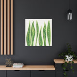 Snake Plant Canvas Print – Botanical Wall Art