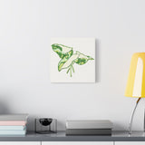 Marble Syngonium Canvas Print – Botanical Wall Art