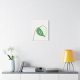 Monstera Albo Canvas Print – Botanical Wall Art