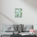 Pachyveria Haagei Succulent Pattern Botanical Print – Unframed Wall Art