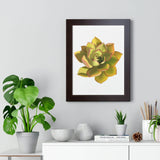 Noble Aeonium Succulent Framed Print – Botanical Wall Art