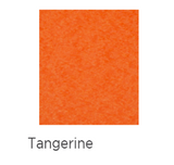 Solid tangerine color swatch on a white background