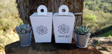 2" Wedding Favor Bulk Succulents