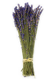 Bouquet of dried lavender flowers tied with twine on a white background