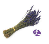 Bouquet of lavender tied with raffia on a white background, featuring a logo in the corner.