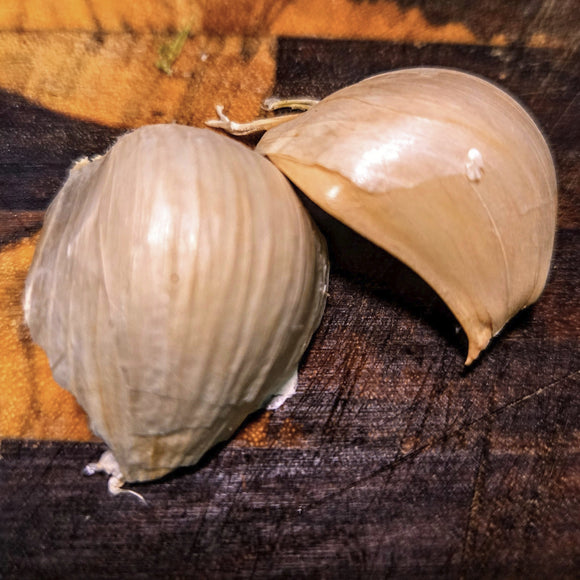 Organic Softneck Garlic
