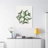 Manjula Pothos Canvas Print – Botanical Wall Art
