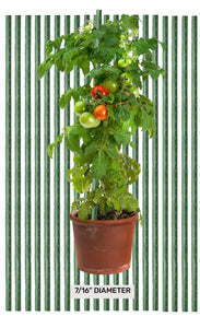 Garden trellis system with plants growing on it, branded 'G-Bite', in an outdoor setting.