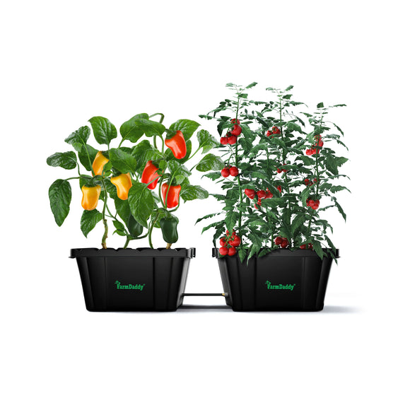 Two potted plants with colorful peppers and tomatoes on a white background 2 Self-Watering Raised Bed Garden Containers + Free Connection Hose /  No other Accessories with this bundle