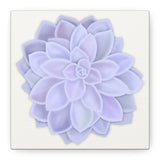 Graptopetalum Murasaki Succulent Canvas Print – Botanical Wall Art