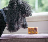 Dog sniffing a piece of CHAI TEA SOAP SLICE 5.5 oz.on a couch