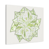 Snow Queen Pothos Canvas Print – Botanical Wall Art