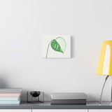 Monstera Albo Canvas Print – Botanical Wall Art