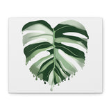 Melting Monstera Albo Canvas Print – Botanical Wall Art