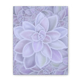 Graptopetalum Murasaki Succulent Pattern Canvas Print – Botanical Wall Art