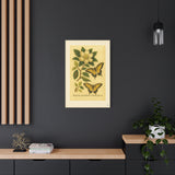 Magnolia and Eastern Tiger Swallowtail, Botanical Illustration on Canvas