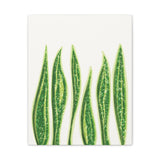 Snake Plant Canvas Print – Botanical Wall Art