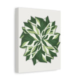 Calathea White Fusion Canvas Print – Botanical Wall Art