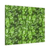 Aglaonema Pictum Canvas Print – Botanical Wall Art