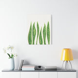Snake Plant Canvas Print – Botanical Wall Art