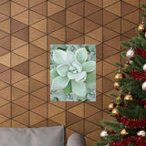 Pachyveria Haagei Succulent Pattern Botanical Print – Unframed Wall Art