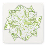 Snow Queen Pothos Canvas Print – Botanical Wall Art