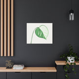 Monstera Albo Canvas Print – Botanical Wall Art