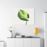 Manjula Pothos Illustrated Canvas Print – Botanical Wall Art