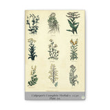 Illustration of various plants from Culpeper's Complete Herbal c. 1759 on a beige background.