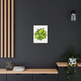 Philodendron Brasil Canvas Print – Botanical Wall Art
