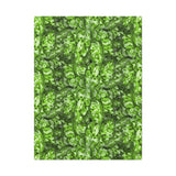 Aglaonema Pictum Canvas Print – Botanical Wall Art